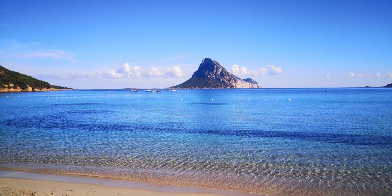 Vista Tavolara - Sardegna Holiday Apartment Vaccileddi Εξωτερικό φωτογραφία