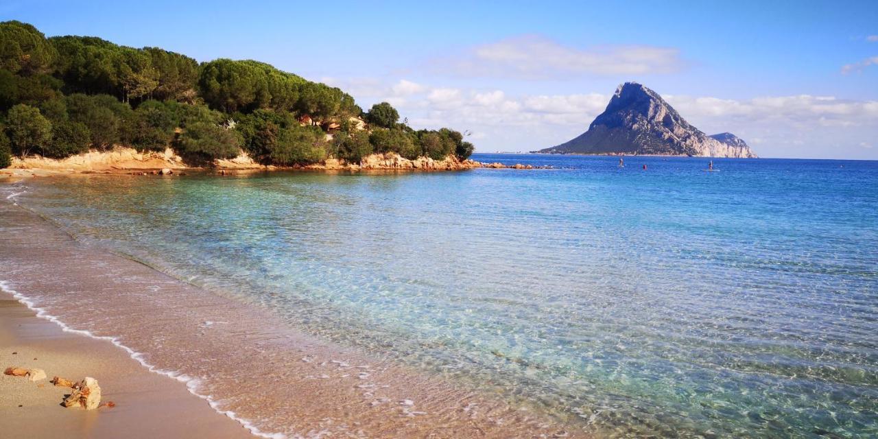 Vista Tavolara - Sardegna Holiday Apartment Vaccileddi Εξωτερικό φωτογραφία