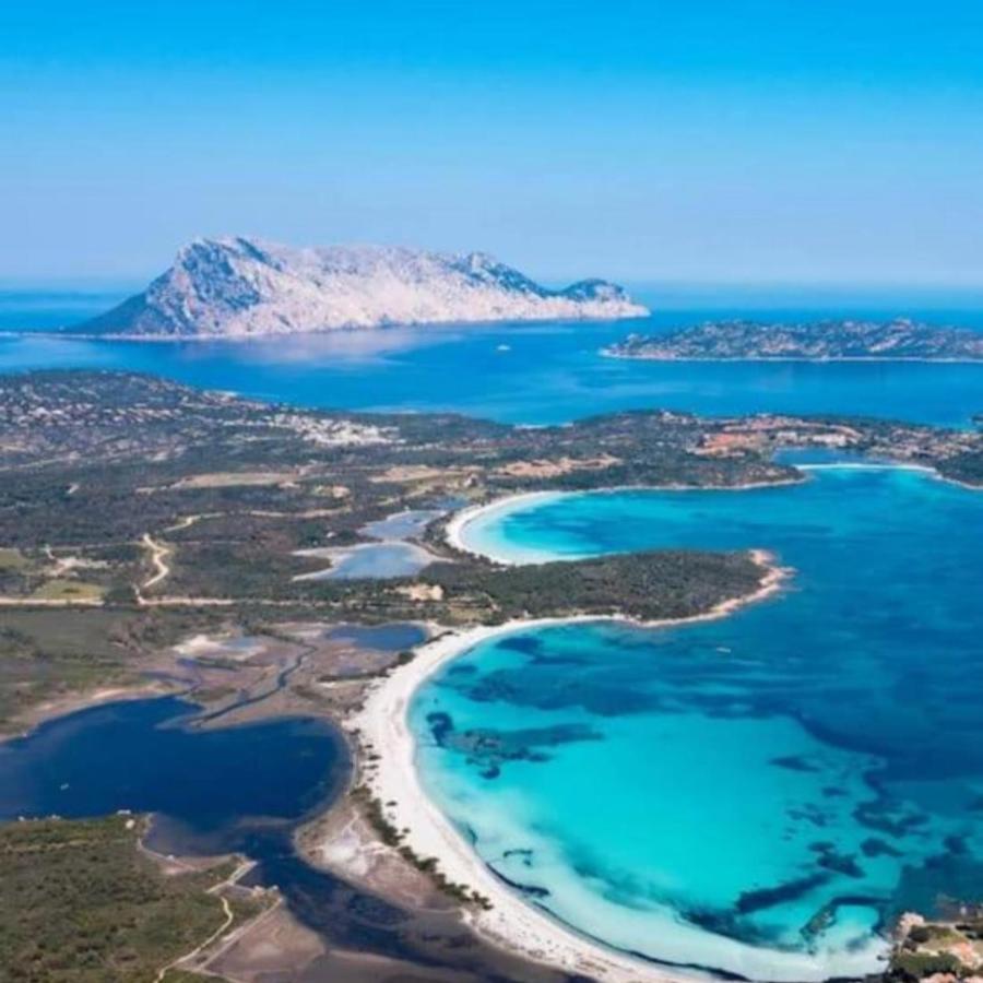 Vista Tavolara - Sardegna Holiday Apartment Vaccileddi Εξωτερικό φωτογραφία