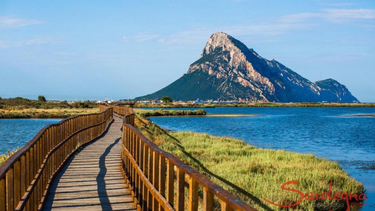 Vista Tavolara - Sardegna Holiday Apartment Vaccileddi Εξωτερικό φωτογραφία