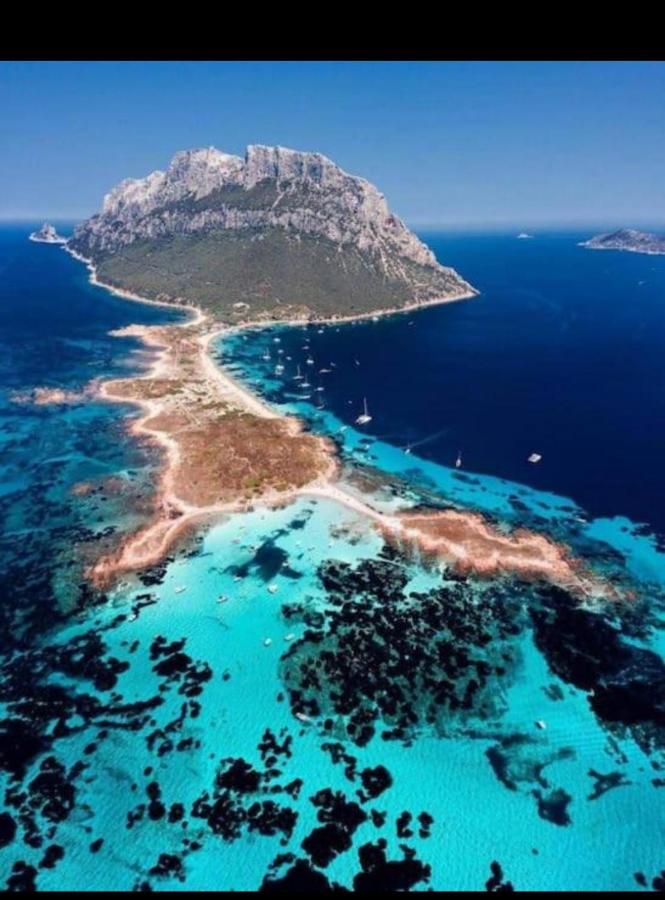Vista Tavolara - Sardegna Holiday Apartment Vaccileddi Εξωτερικό φωτογραφία