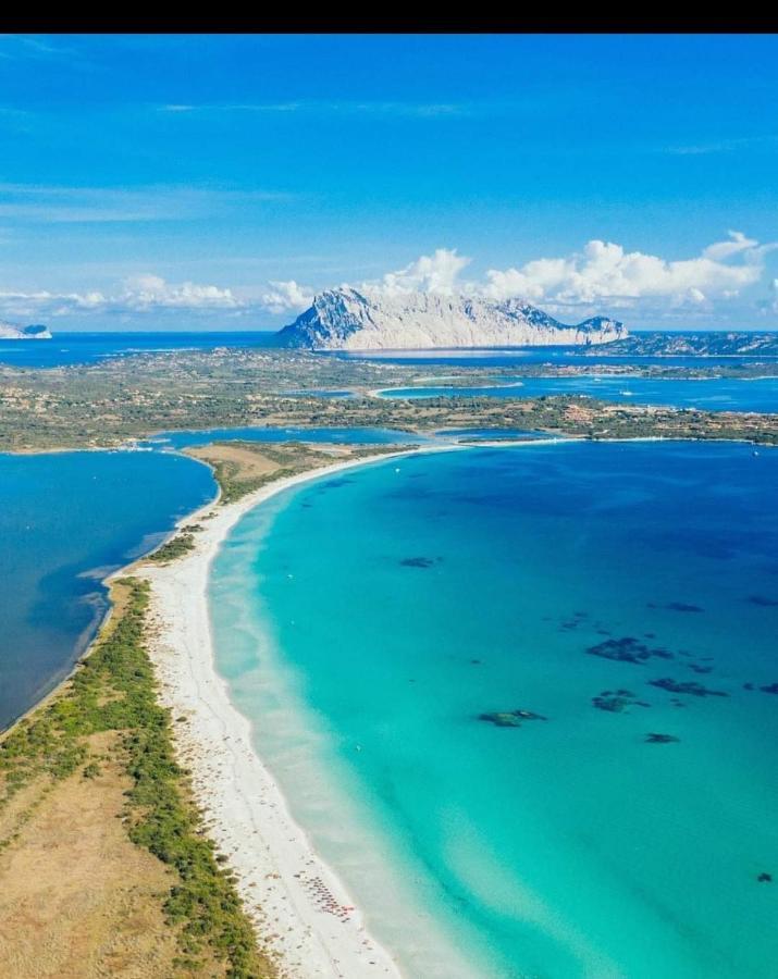 Vista Tavolara - Sardegna Holiday Apartment Vaccileddi Εξωτερικό φωτογραφία