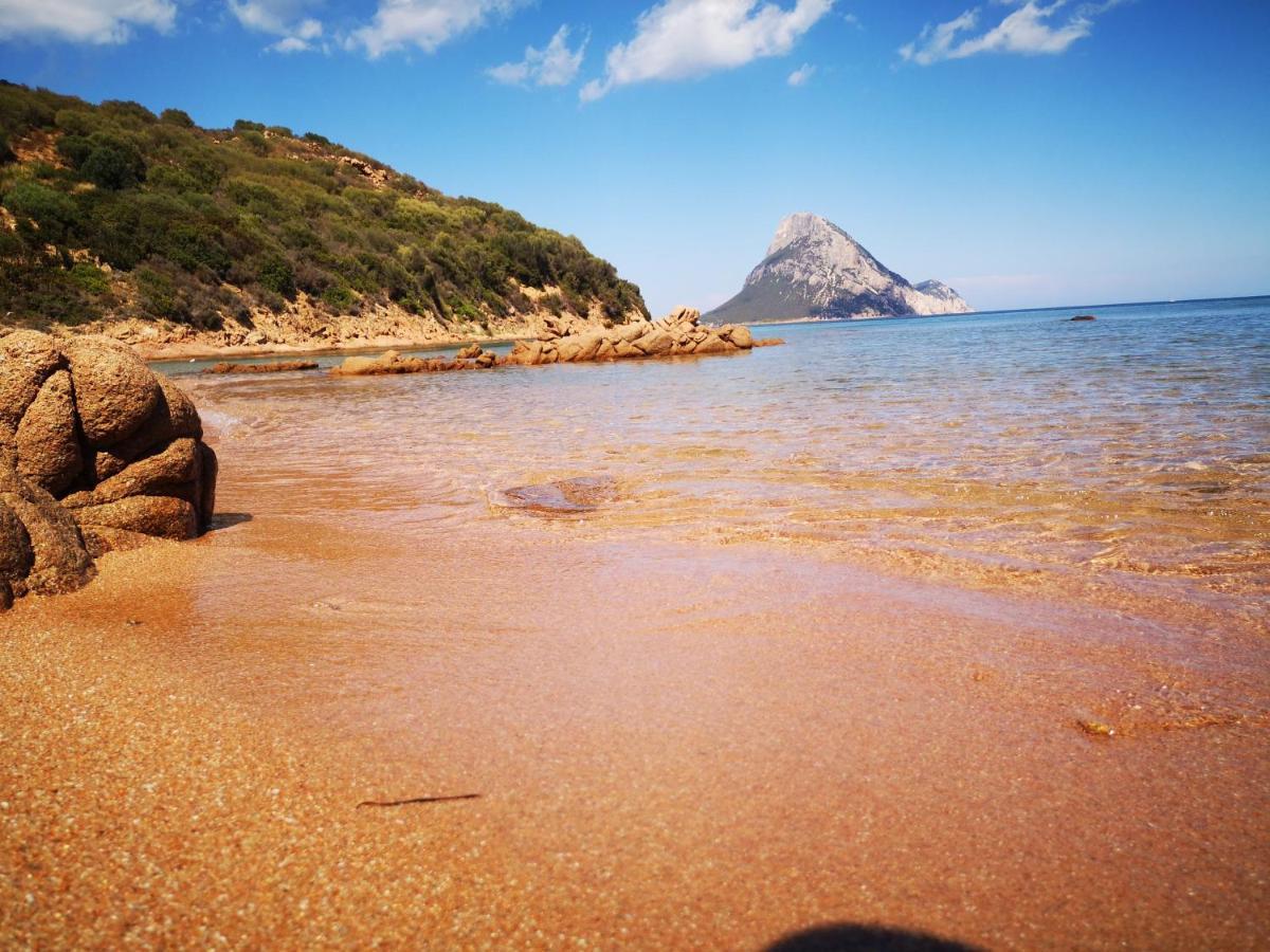 Vista Tavolara - Sardegna Holiday Apartment Vaccileddi Εξωτερικό φωτογραφία