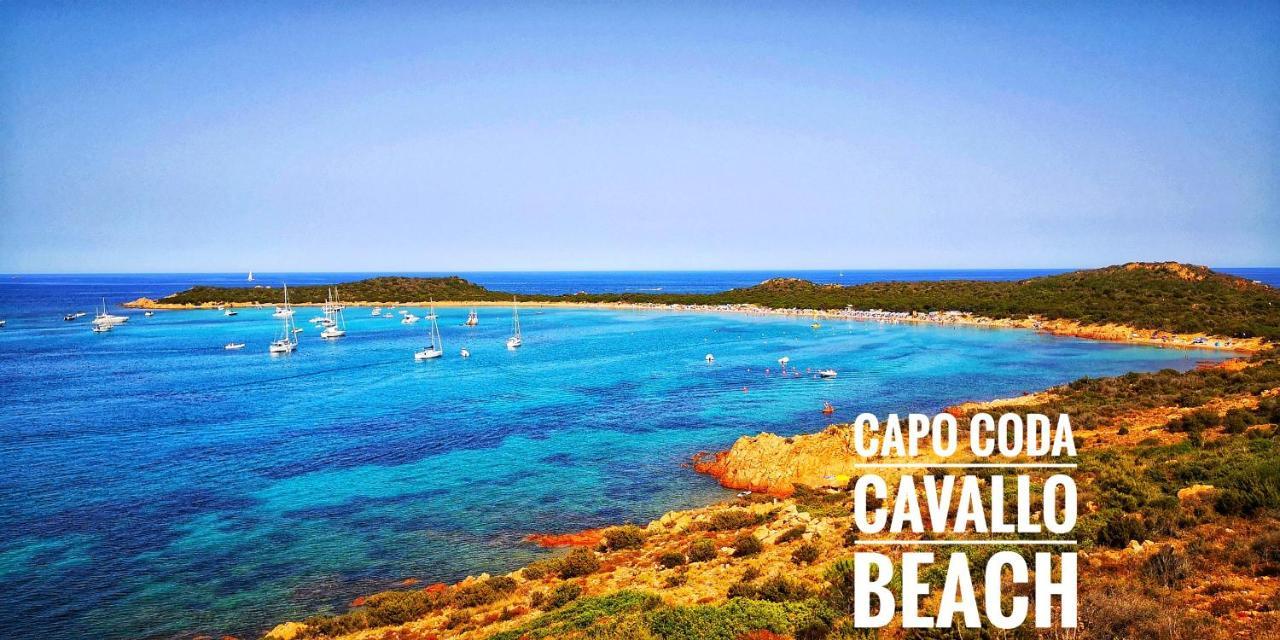 Vista Tavolara - Sardegna Holiday Apartment Vaccileddi Εξωτερικό φωτογραφία
